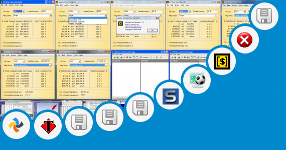Software collection for Dollar Weighted Return