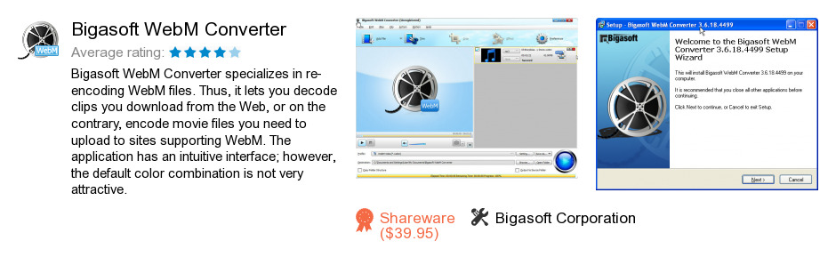 Bigasoft WebM Converter