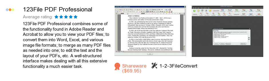 123File PDF Professional