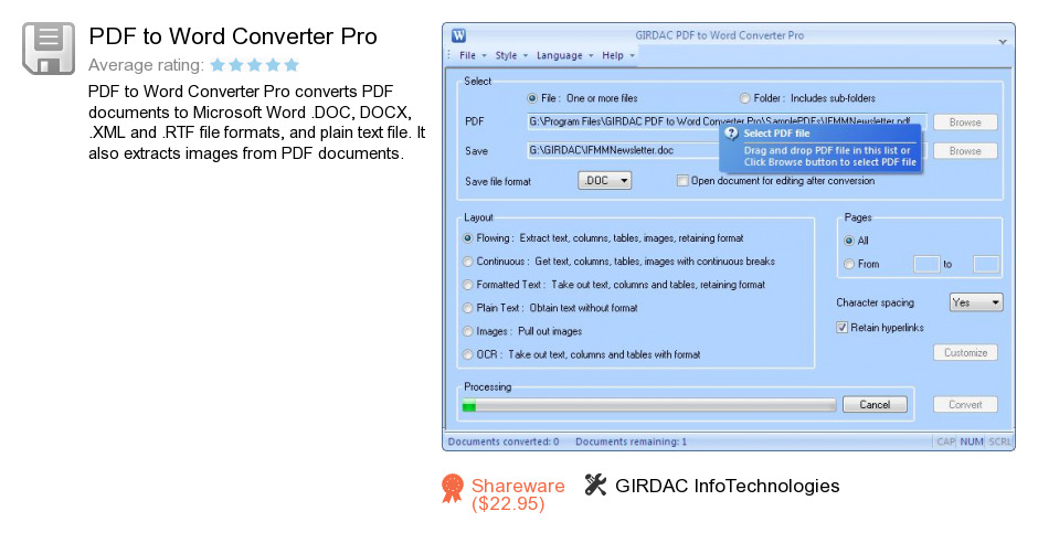 PDF to Word Converter Pro