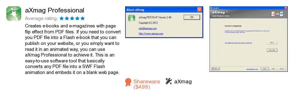 AXmag Professional