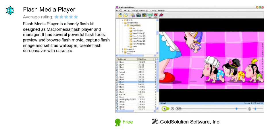 Flash Media Player