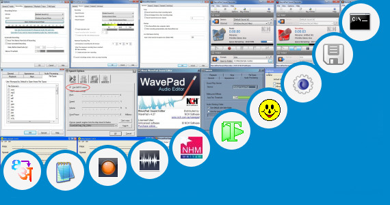 Software collection for Hindi Marathi Text Voice Tag Pc Software