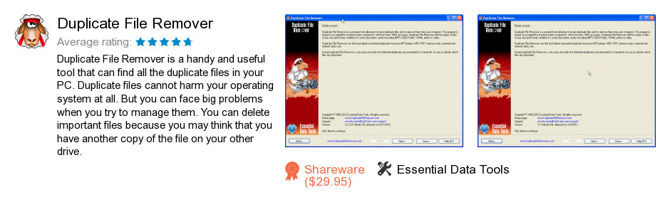 Duplicate File Remover