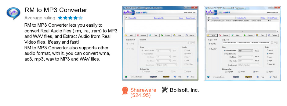 RM to MP3 Converter