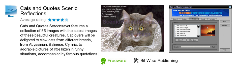 Cats and Quotes Scenic Reflections