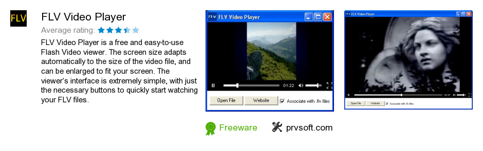 FLV Video Player